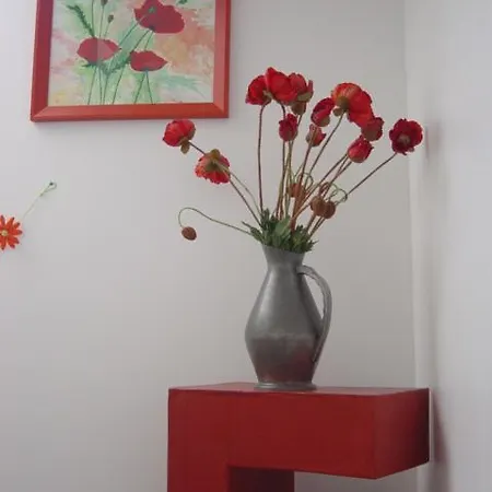 Les Coquelicots Marieulles