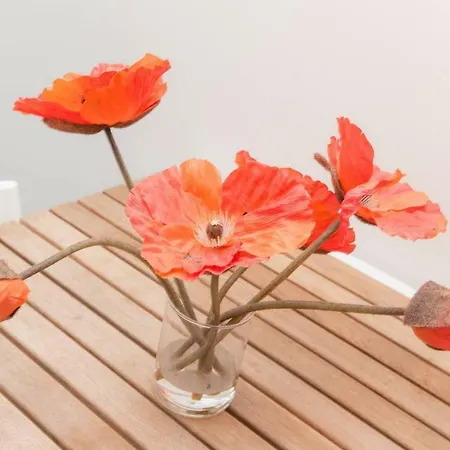 Les Coquelicots
